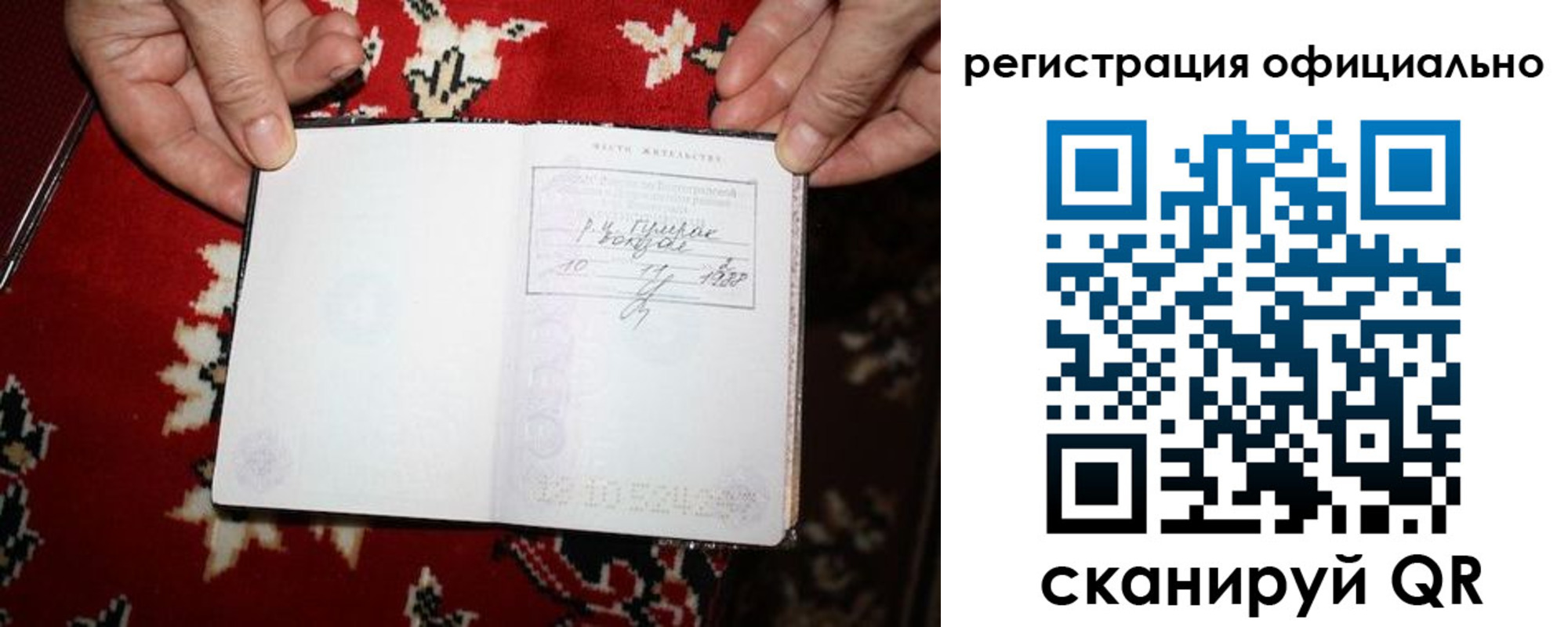временная регистрация гарантия в Долгопрудном